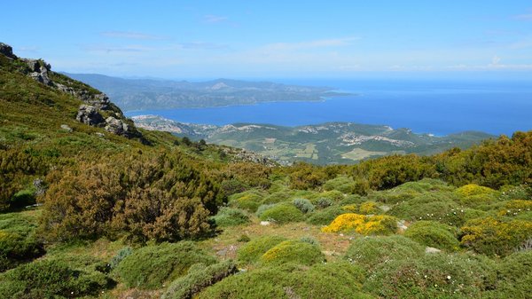 Choisir le camping idéal dans les Hautes-Alpes, en fonction de ses besoins et de ses intérêts
